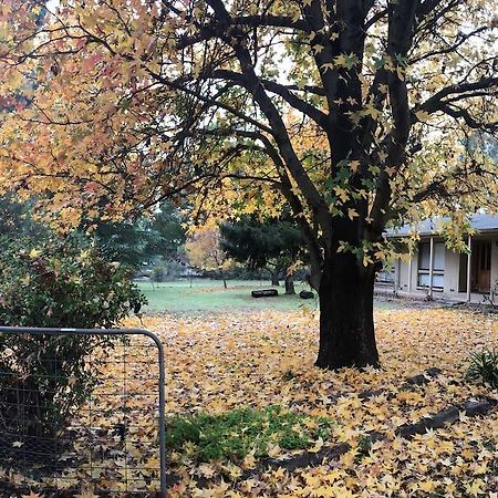 The Rocks Apartments Halls Gap Bagian luar foto