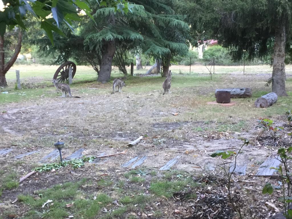 The Rocks Apartments Halls Gap Bagian luar foto