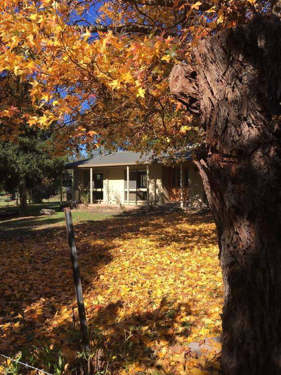 The Rocks Apartments Halls Gap Bagian luar foto