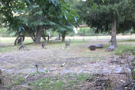 The Rocks Apartments Halls Gap Bagian luar foto