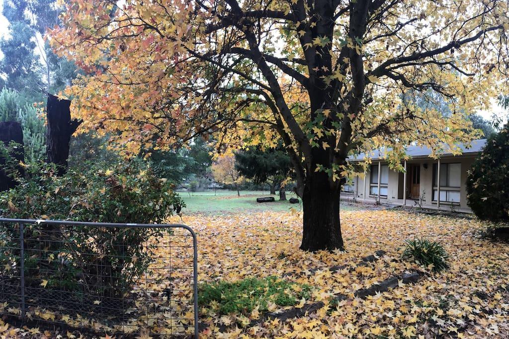 The Rocks Apartments Halls Gap Bagian luar foto